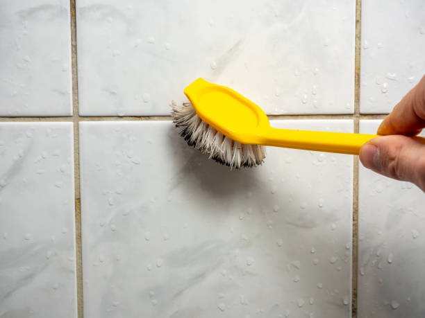 Best Water Damage Restoration  in Knob Noster, MO