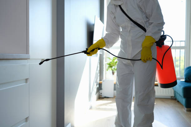 Mold Removal and Inspection in Knob Noster, MO