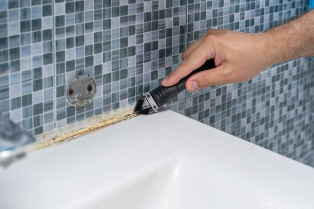 Best Best Mold Removal Companies  in Knob Noster, MO